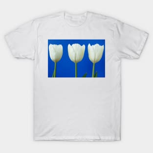 Tulipa  &#39;White Dream&#39;  Tulip T-Shirt